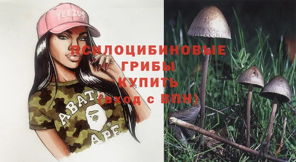 метамфетамин Аркадак